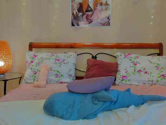 miya-soft webcam