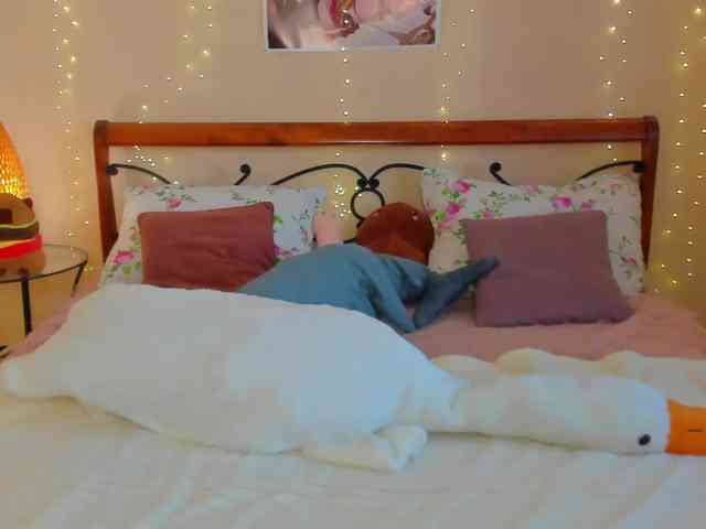 miya-soft webcam