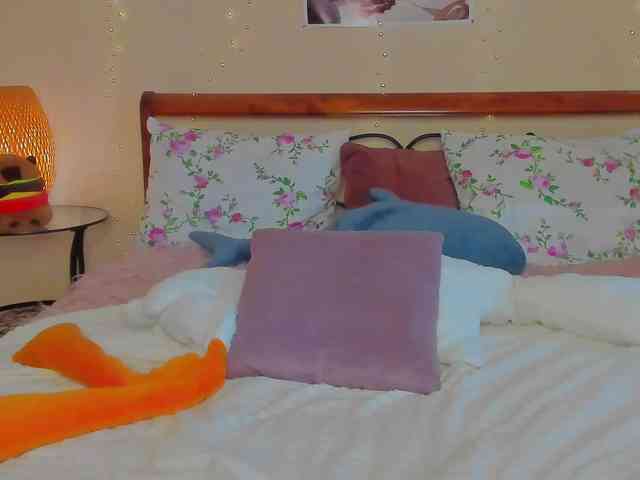 miya-soft webcam