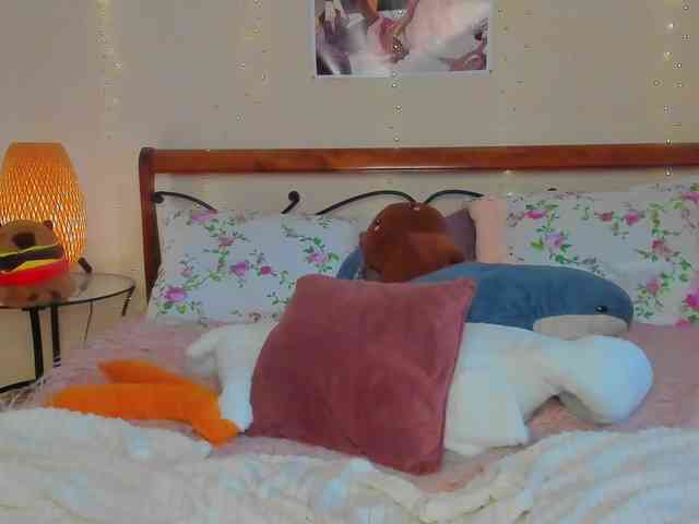 miya-soft webcam