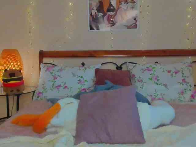 miya-soft webcam
