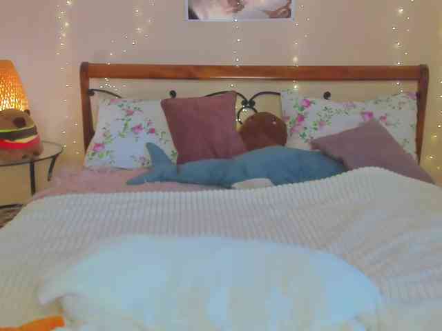 miya-soft webcam