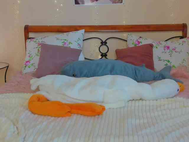 miya-soft webcam
