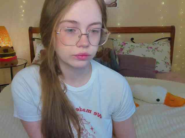 miya-soft webcam