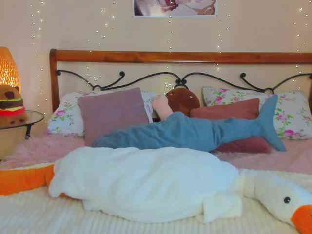 miya-soft webcam
