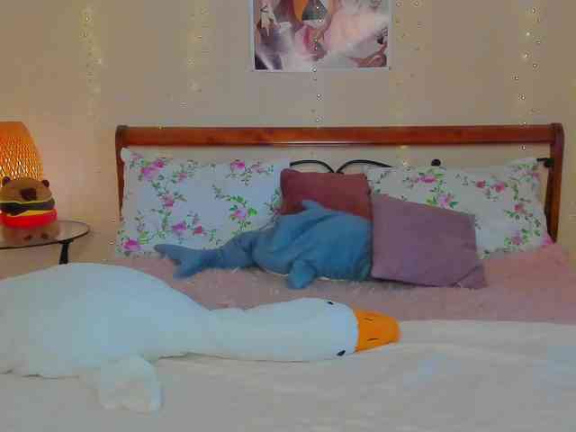 miya-soft webcam