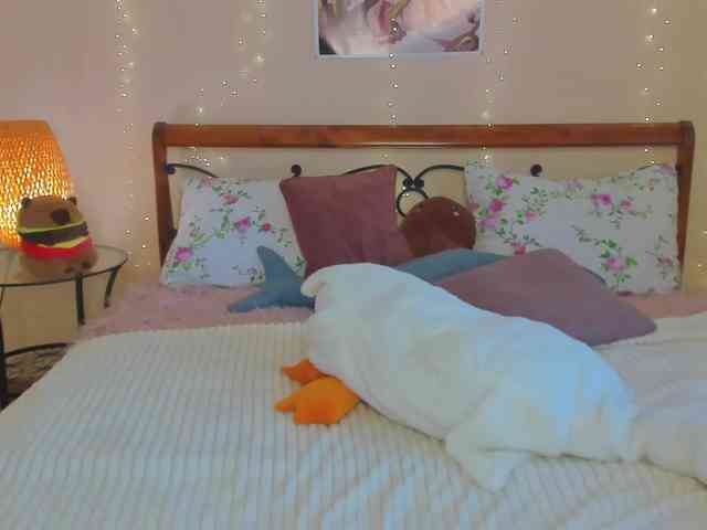miya-soft webcam