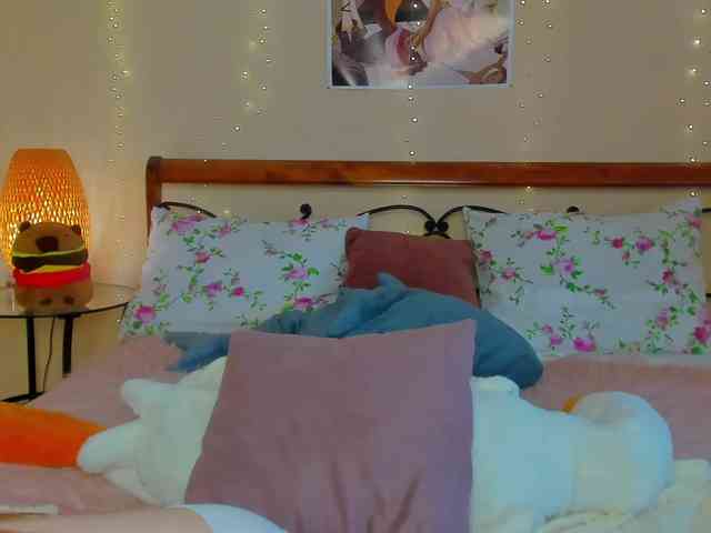 miya-soft webcam