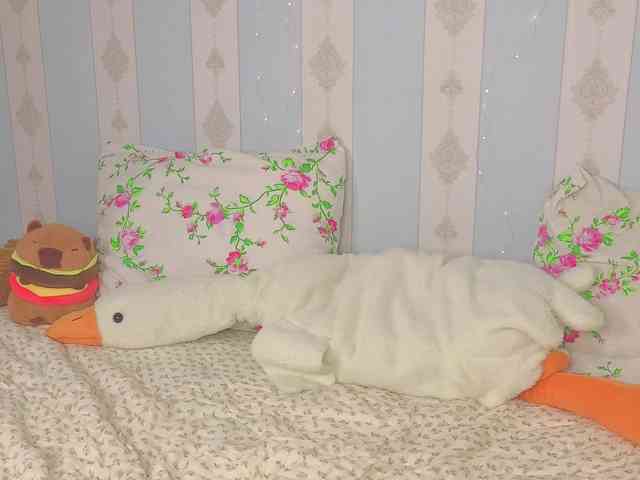 miya-soft webcam
