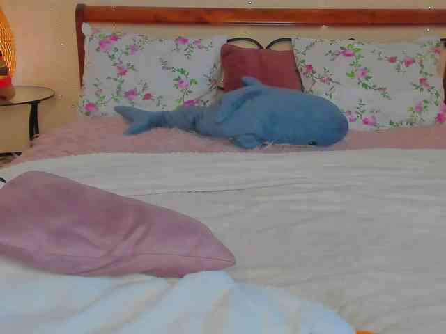 miya-soft webcam