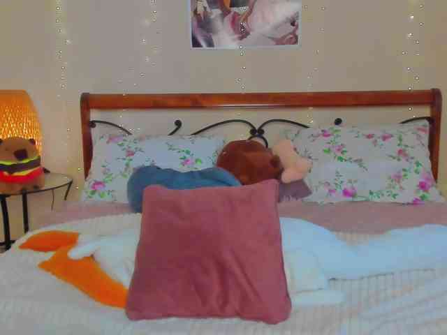 miya-soft webcam