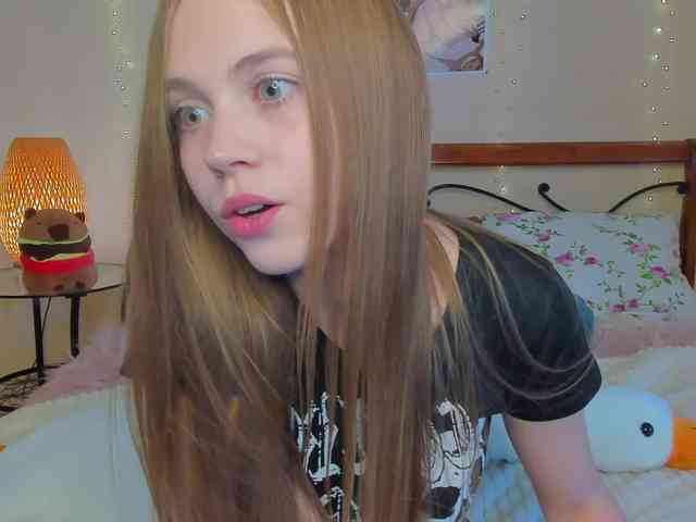 miya-soft webcam