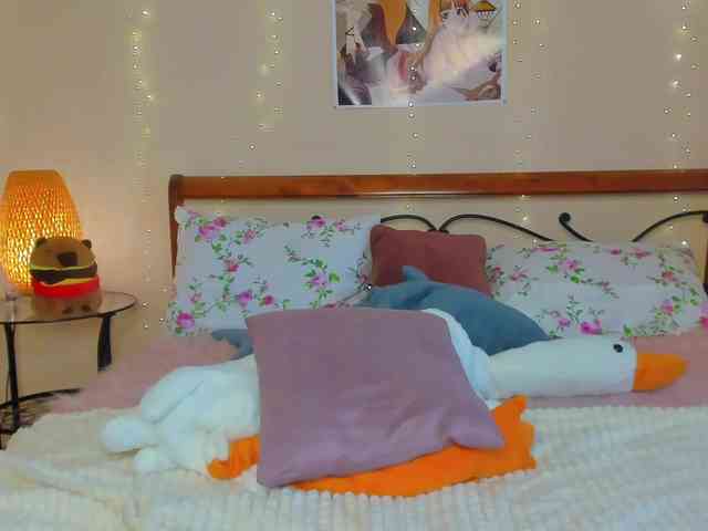 miya-soft webcam