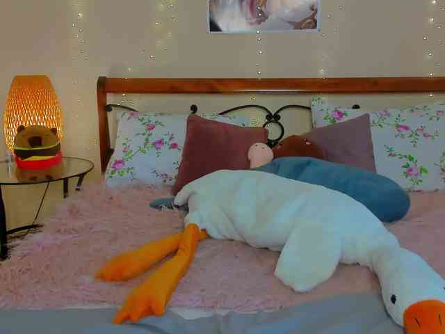 miya-soft webcam