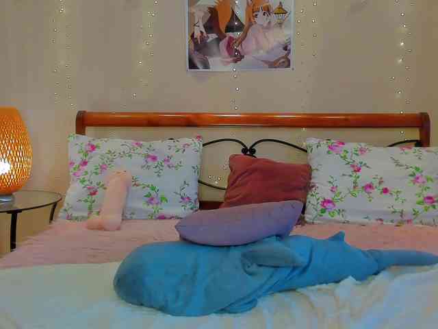 miya-soft webcam
