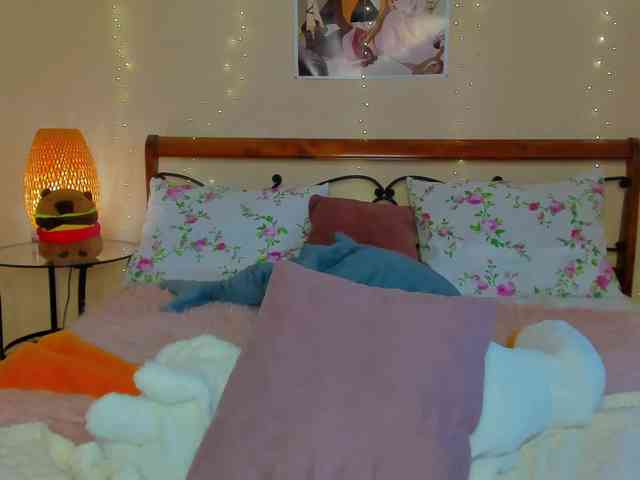 miya-soft webcam