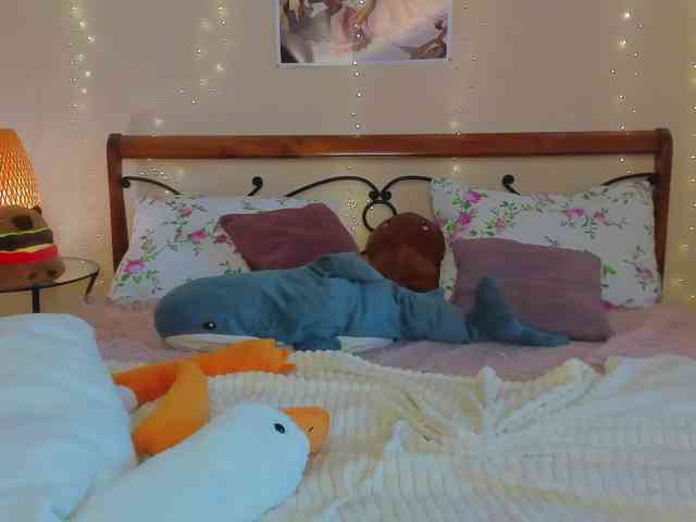 miya-soft webcam