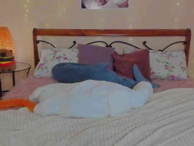 miya-soft webcam