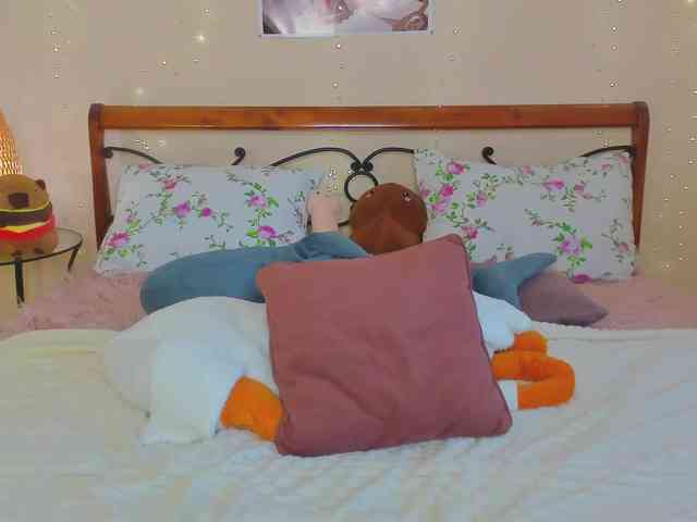 miya-soft webcam