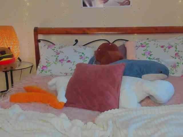 miya-soft webcam