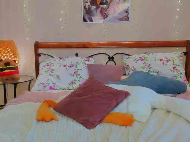 miya-soft webcam