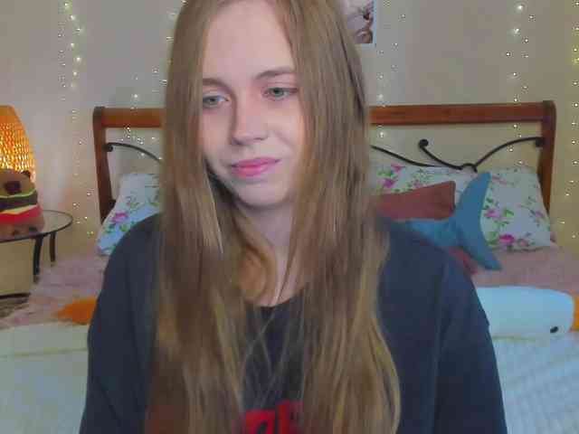 miya-soft webcam