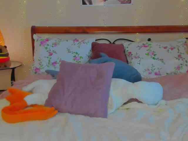 miya-soft webcam