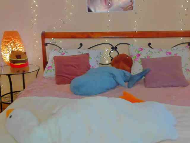 miya-soft webcam
