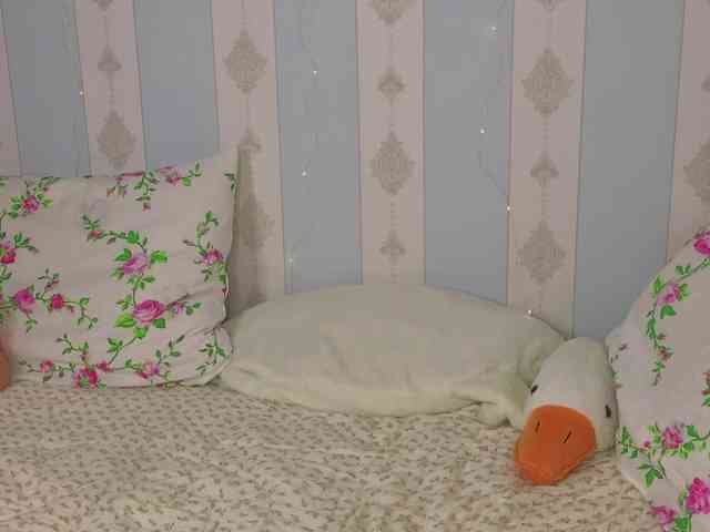 miya-soft webcam