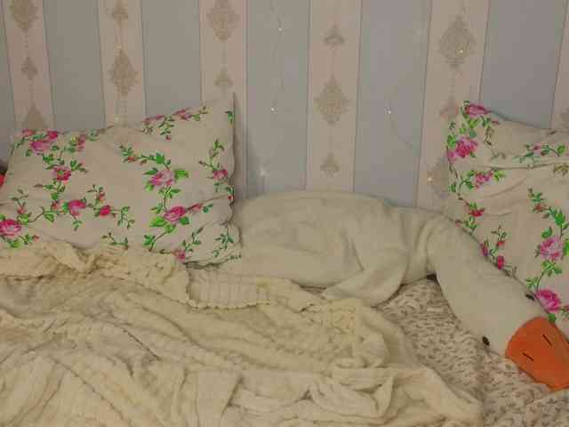 miya-soft webcam