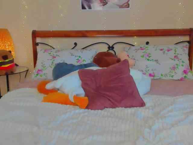 miya-soft webcam