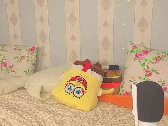 miya-soft webcam