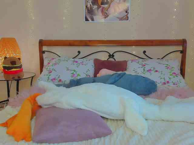 miya-soft webcam