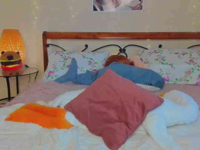 miya-soft webcam