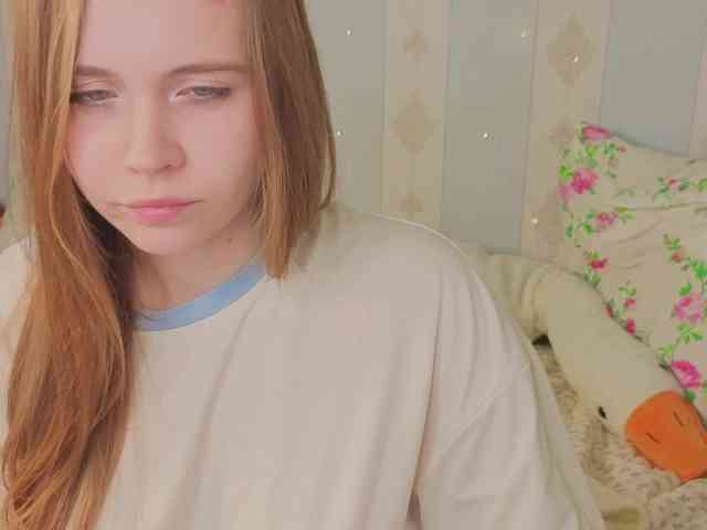 miya-soft webcam