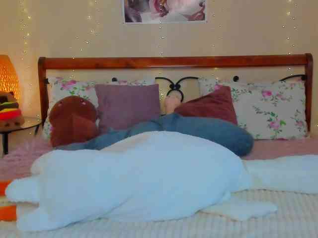 miya-soft webcam
