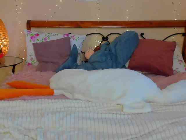 miya-soft webcam