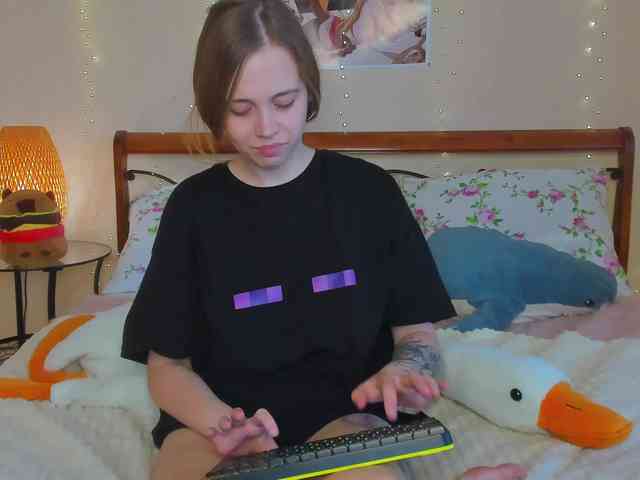 miya-soft webcam
