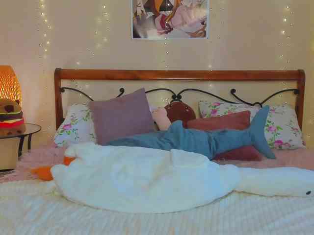 miya-soft webcam