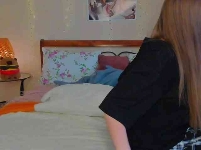 miya-soft webcam