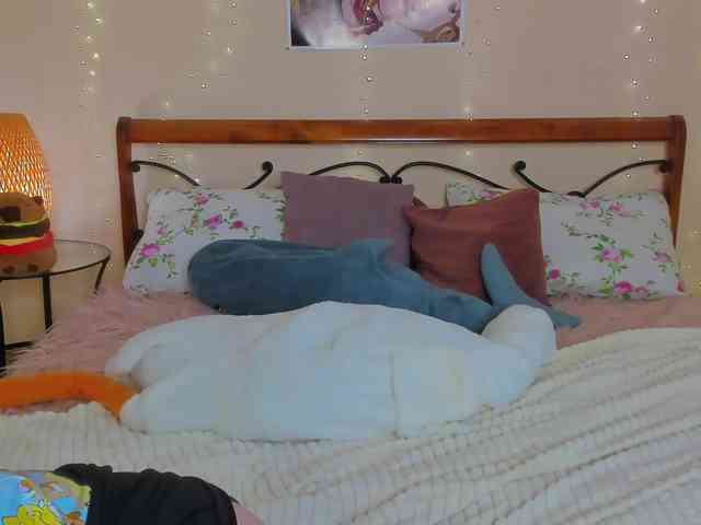 miya-soft webcam
