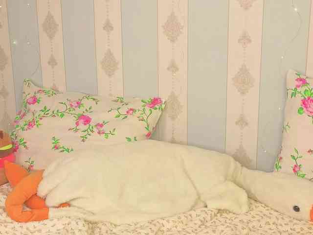 miya-soft webcam