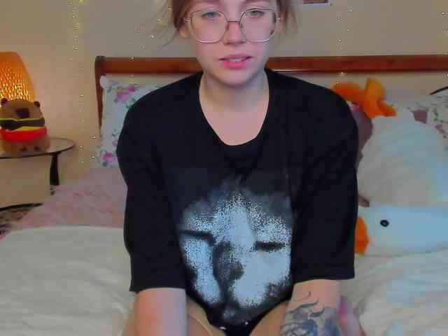 miya-soft webcam