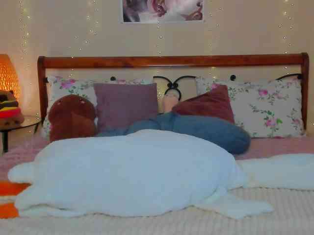 miya-soft webcam
