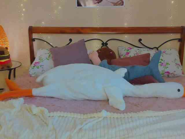 miya-soft webcam