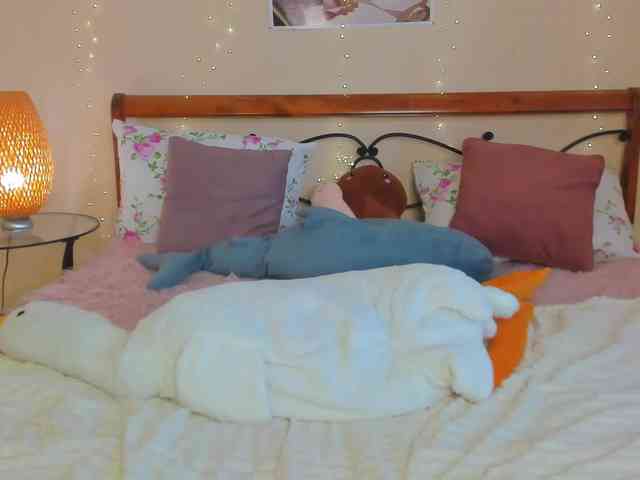 miya-soft webcam