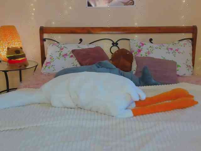 miya-soft