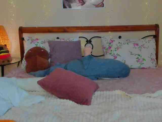 miya-soft webcam