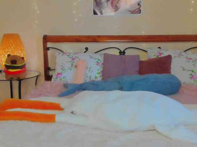 miya-soft webcam