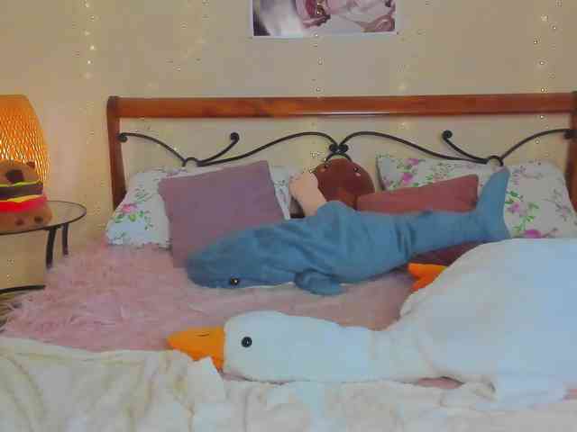miya-soft webcam